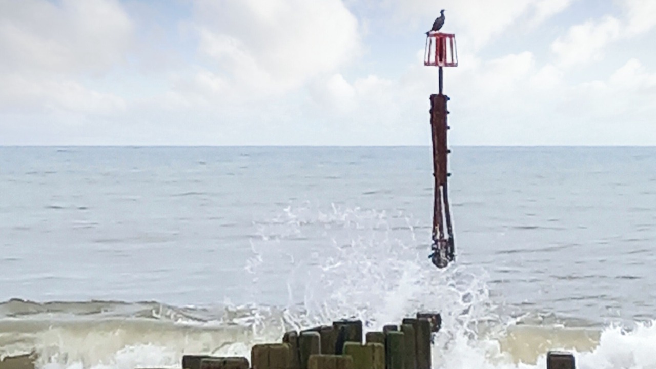 Photo of Others in Walcott