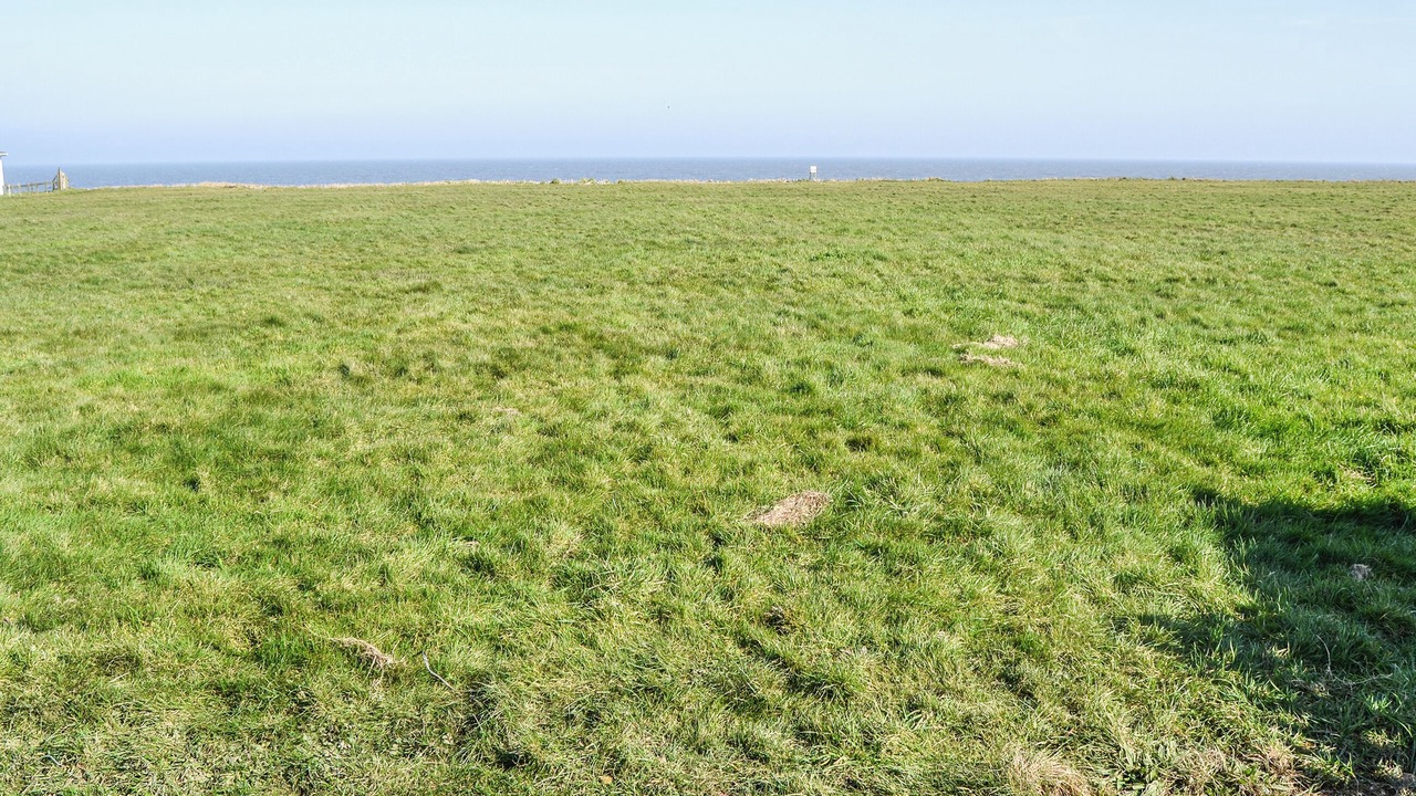 Photo of Others in Walcott