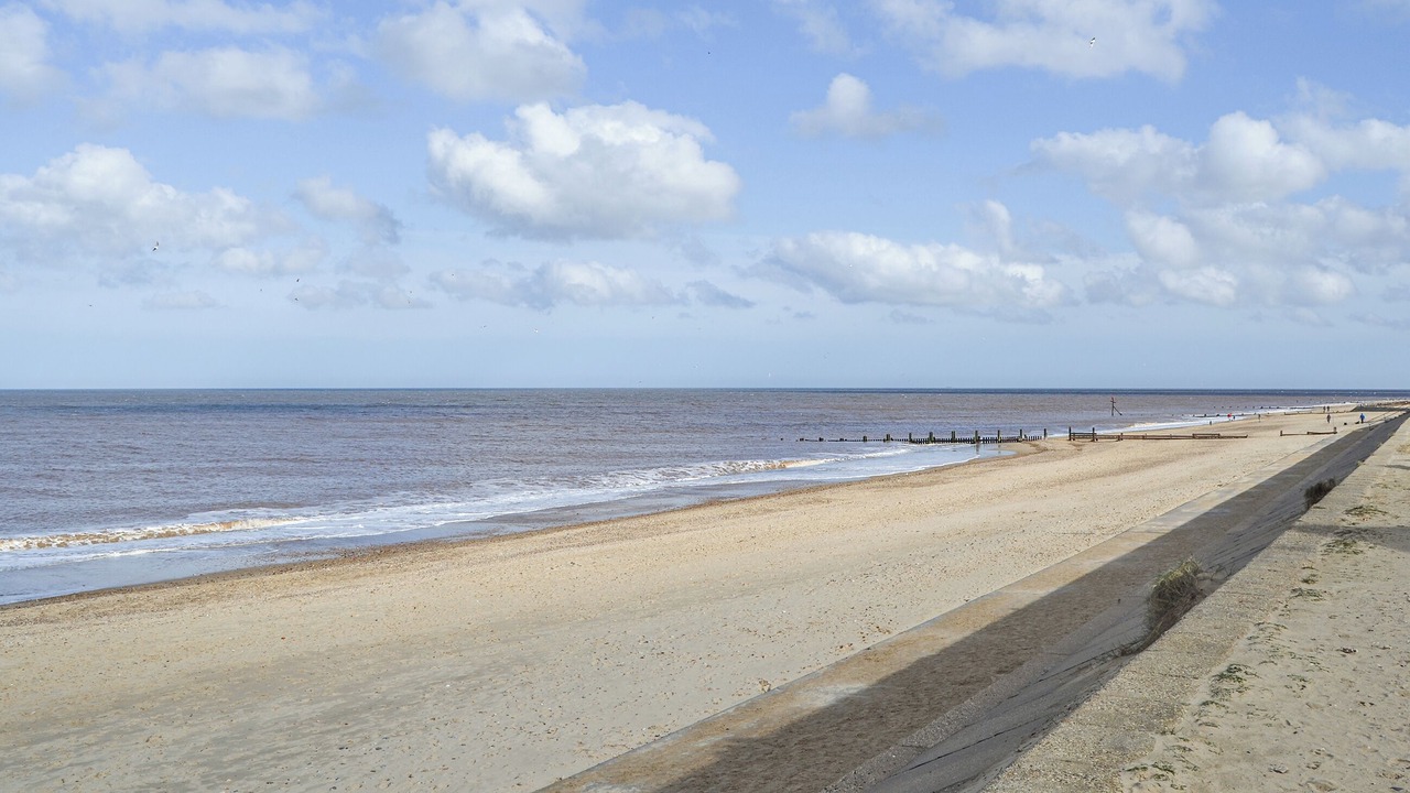 Photo of Others in Walcott