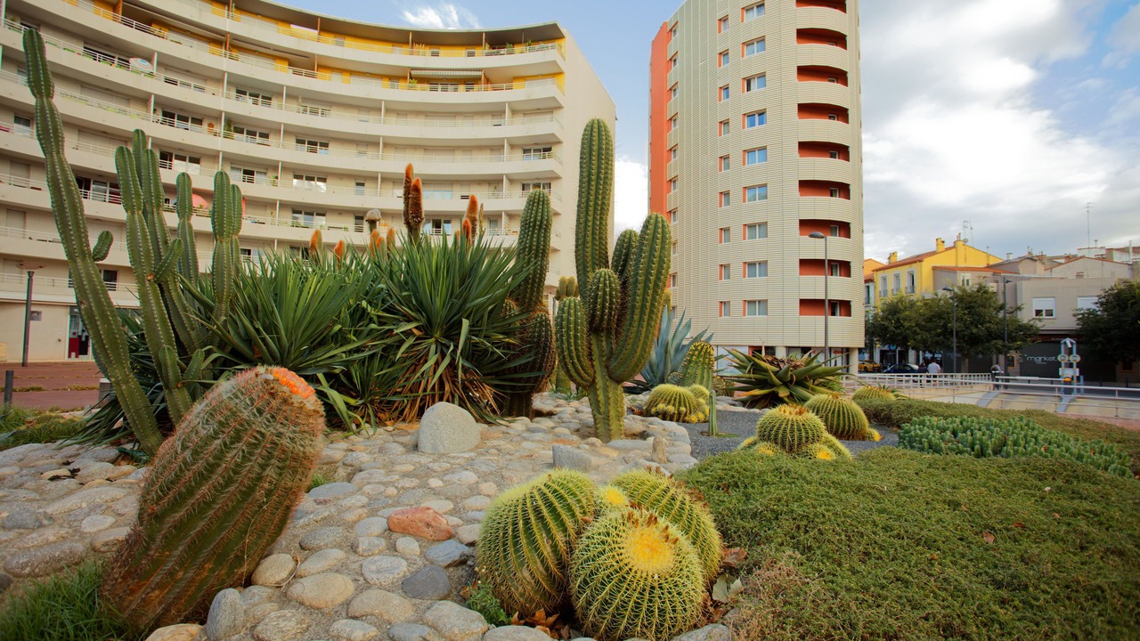 Photo of Others in Clemenceau