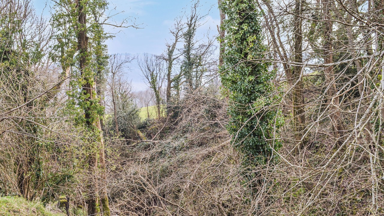 Photo of Outdoor in Talybont-on-Usk