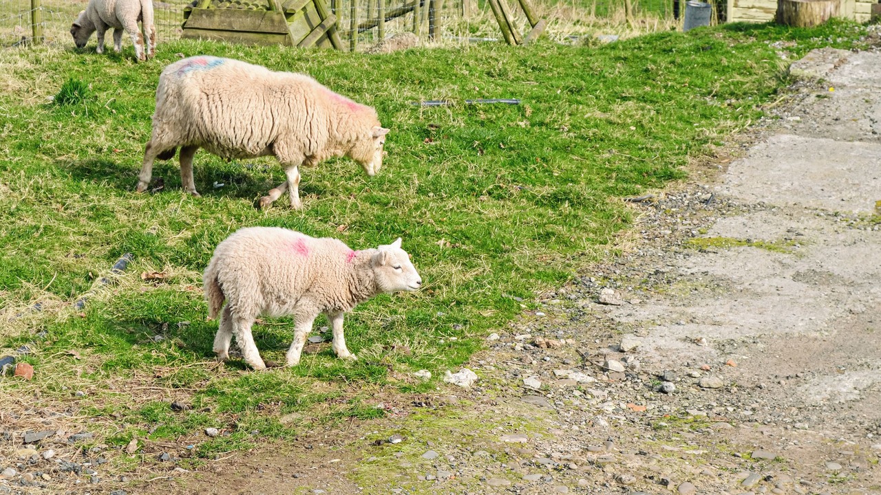 Photo of Outdoor in Talybont-on-Usk