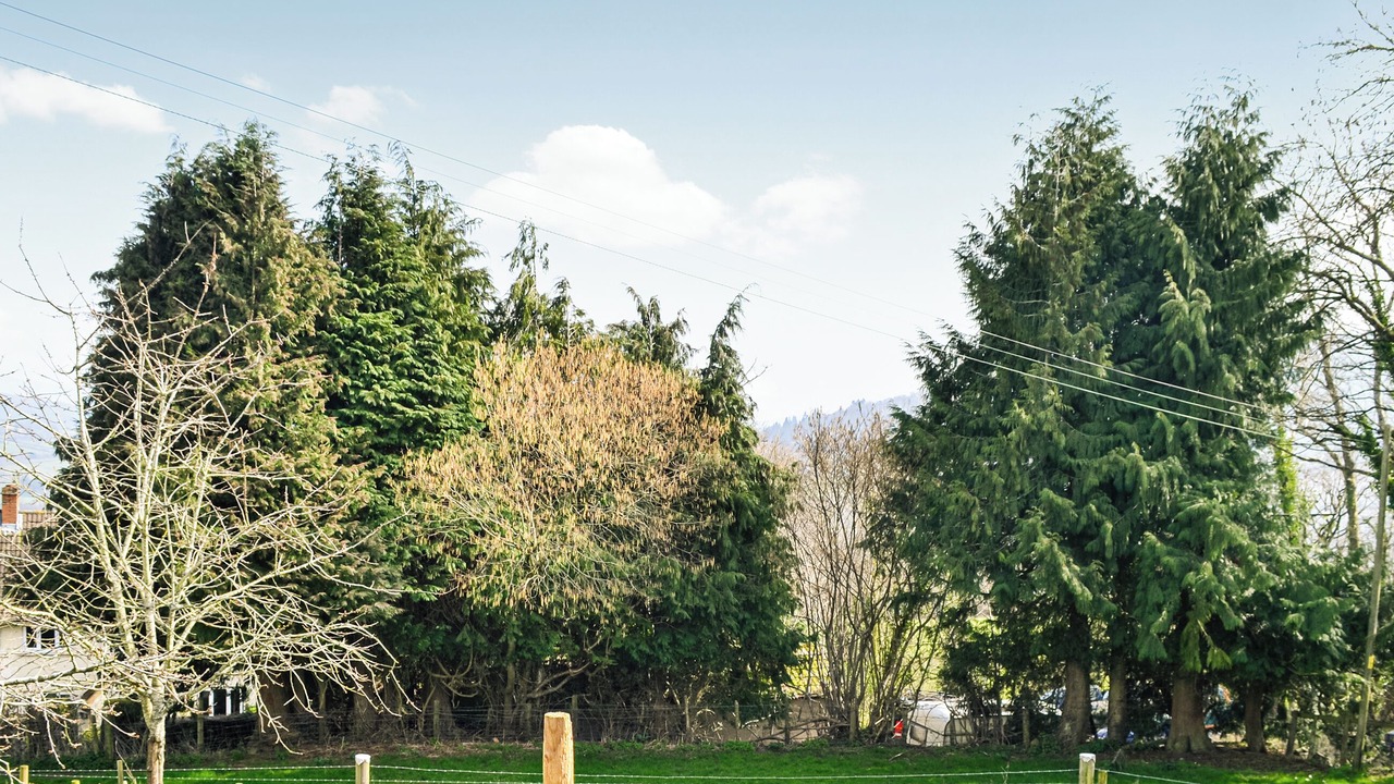 Photo of Others in Talybont-on-Usk