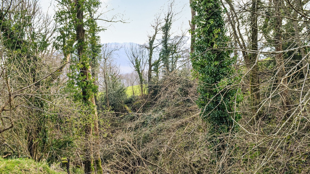Photo of Outdoor in Talybont-on-Usk