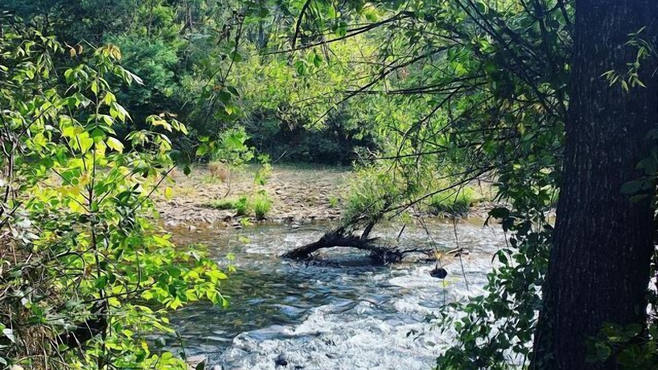 Photo of Others in Buckland