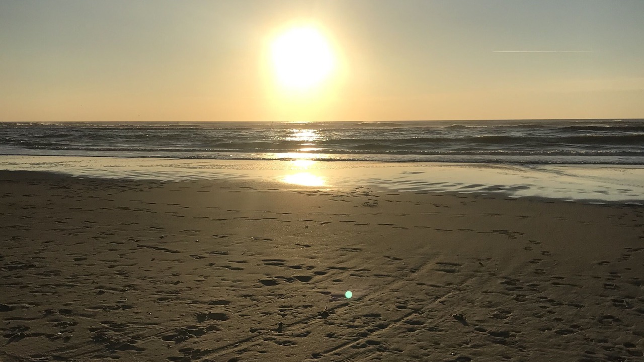 Photo of Others in Fort-Mahon-Plage