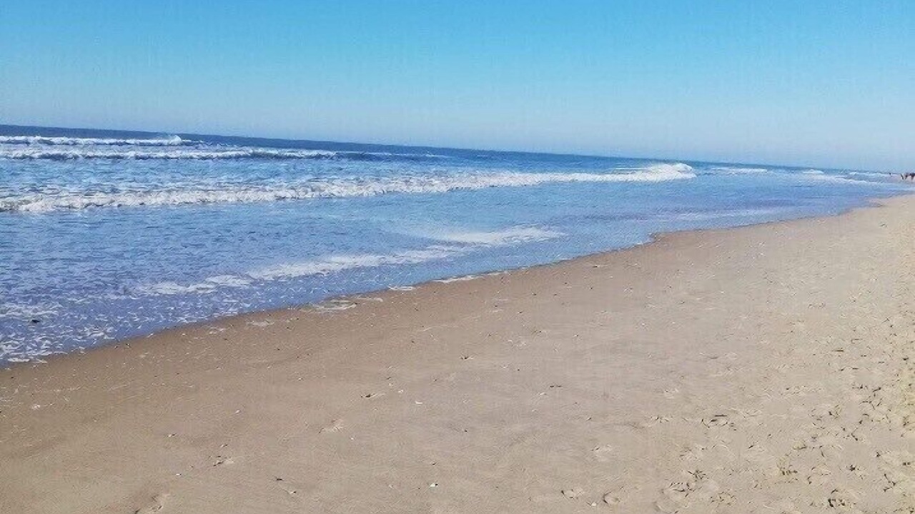 Photo of Others in Fort-Mahon-Plage