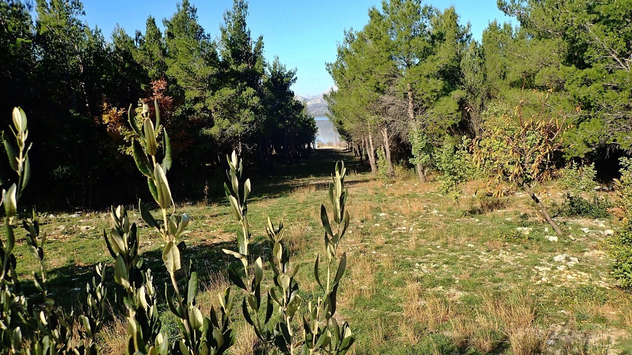 Photo of Outdoor in Rovanjska