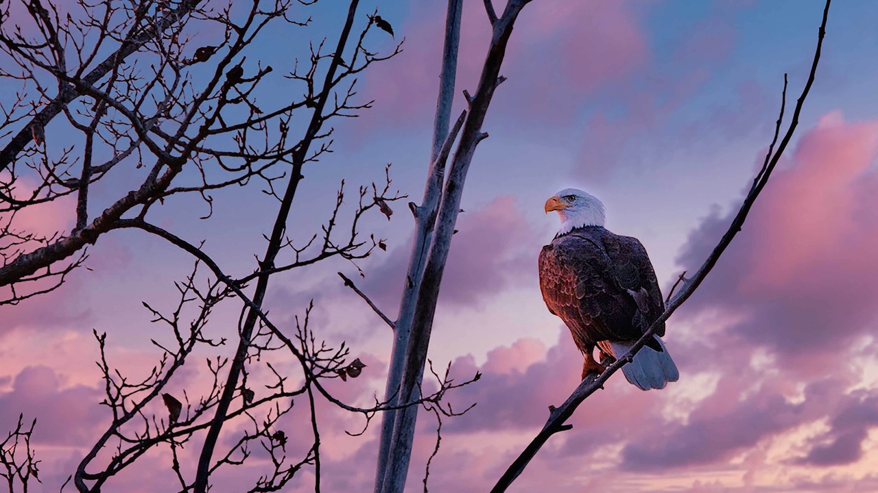 Photo of Others in Diamond Lake