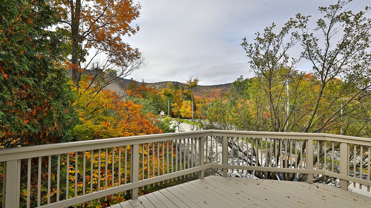Photo of Others in Killington