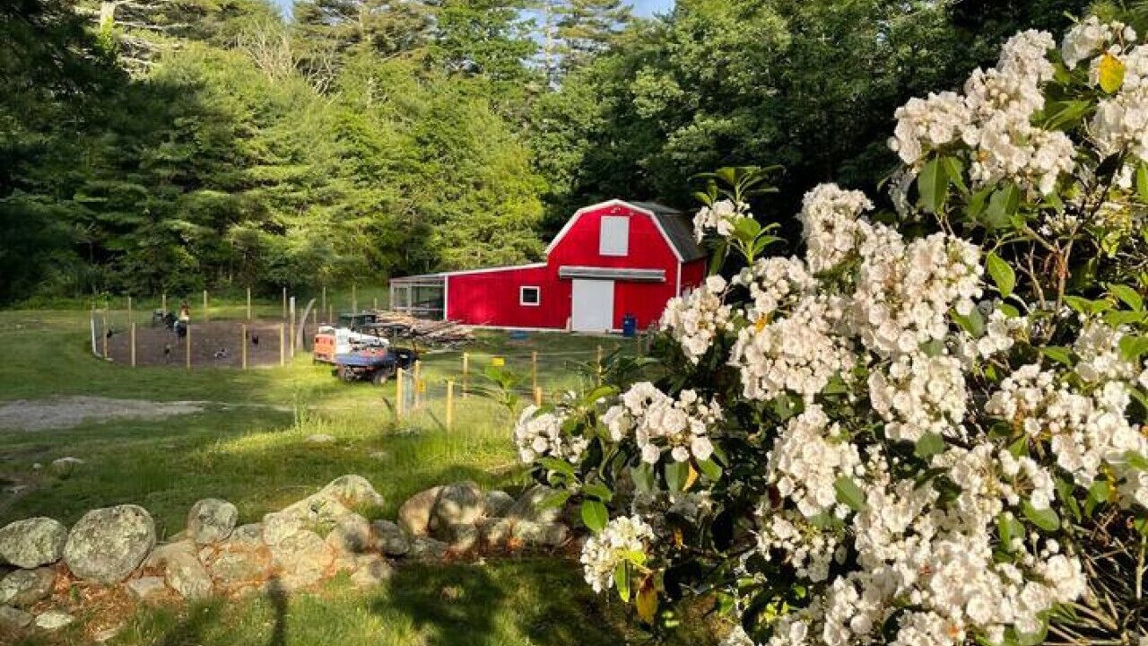 Photo of Outdoor in Hope Valley