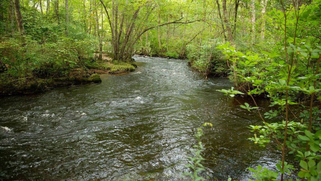 Photo of Others in Hope Valley