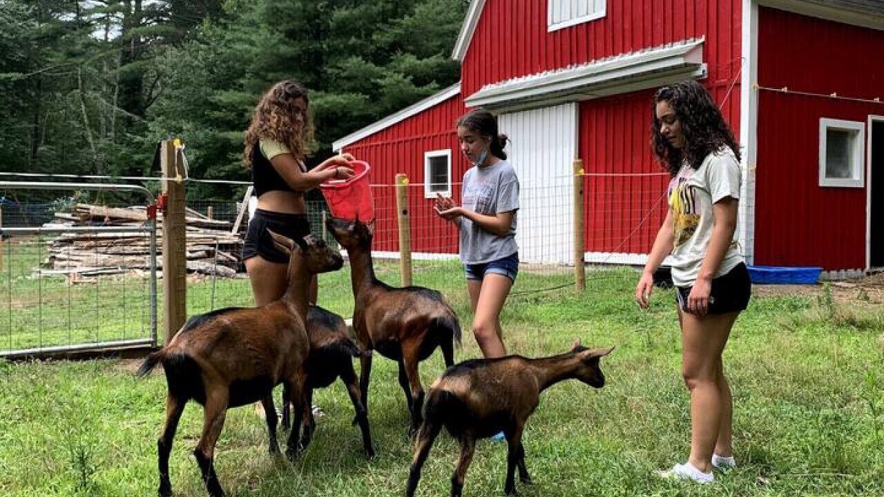 Photo of Outdoor in Hope Valley