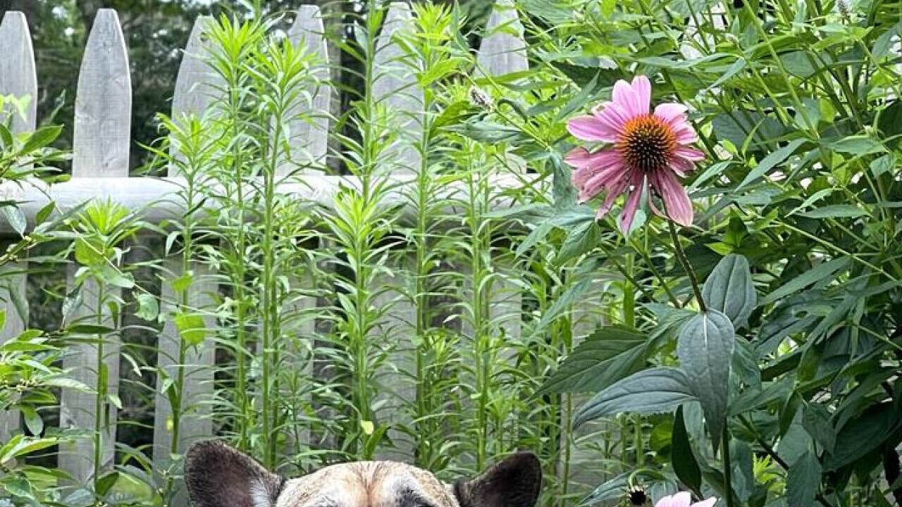 Photo of Outdoor in Hope Valley