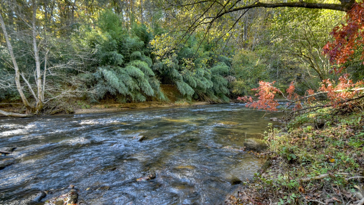 Photo of Others in Cashes Valley