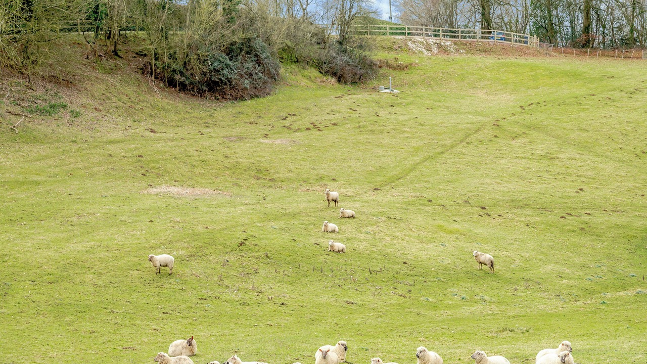 Photo of Others in Alderbury