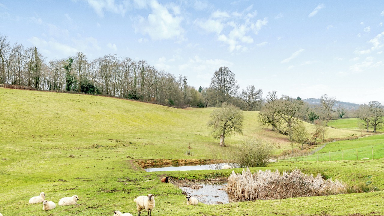 Photo of Others in Alderbury