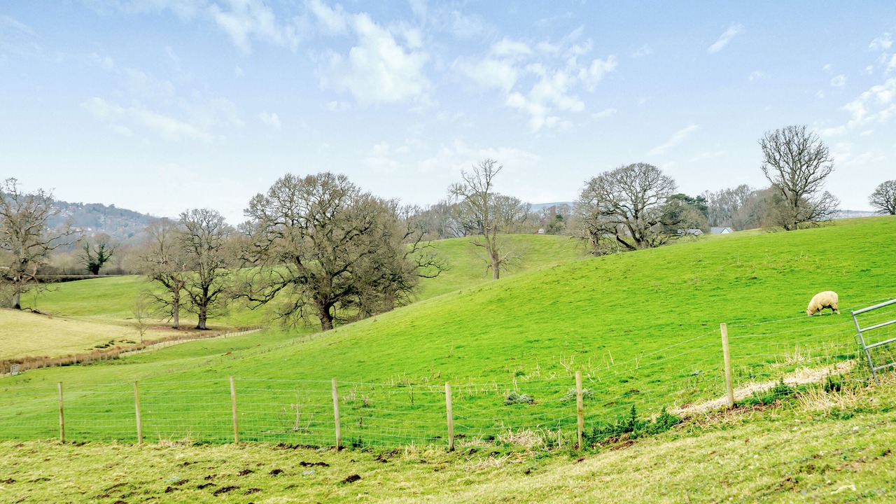 Photo of Others in Alderbury