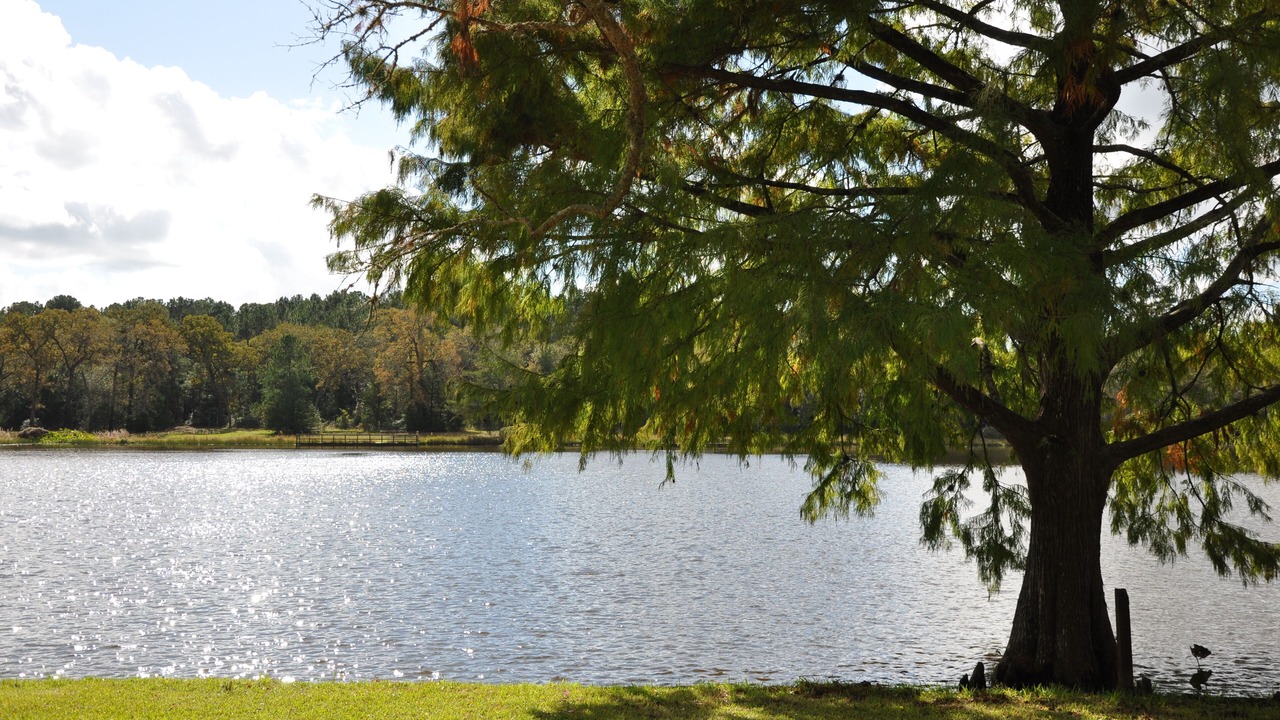 Photo of Outdoor in Bellville