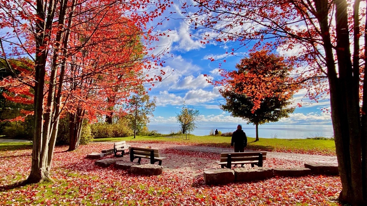 Photo of Outdoor in Ajax