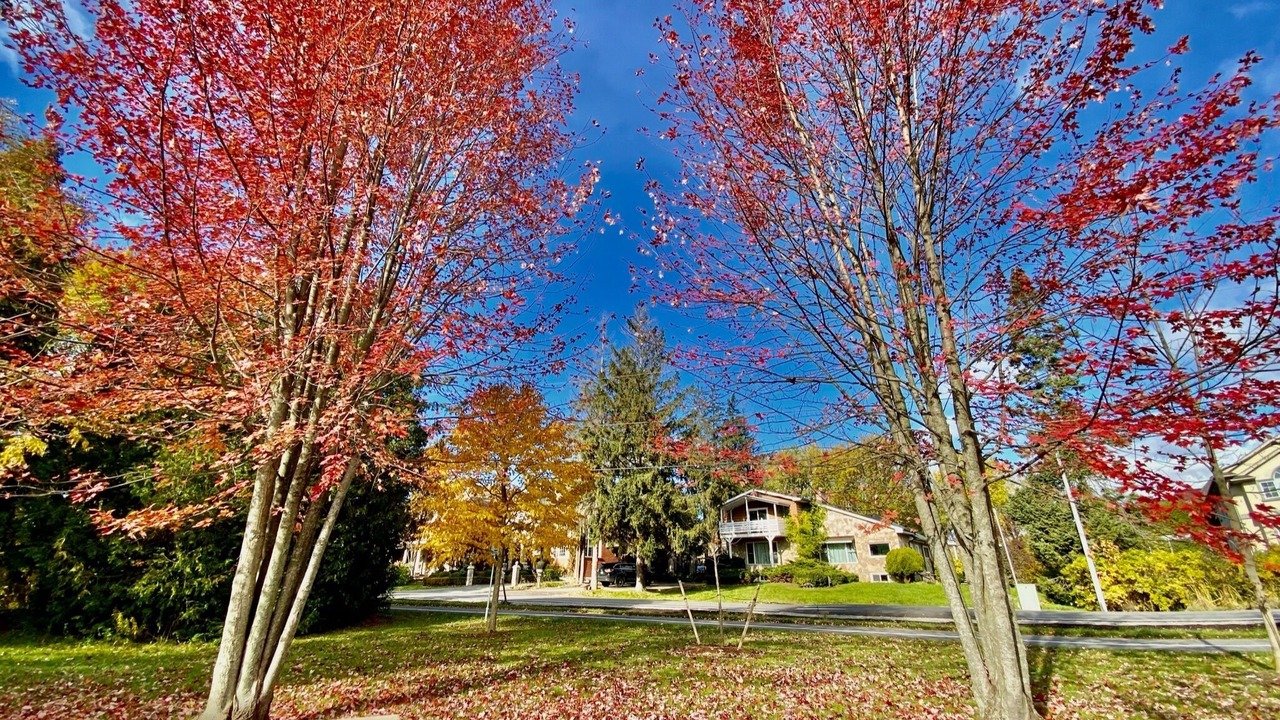 Photo of Outdoor in Ajax