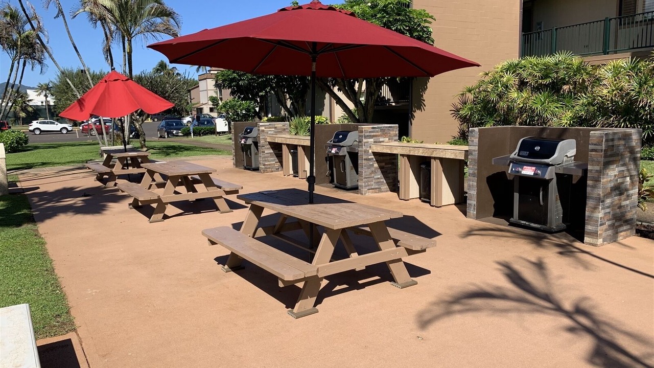 Photo of Outdoor in Kapaa