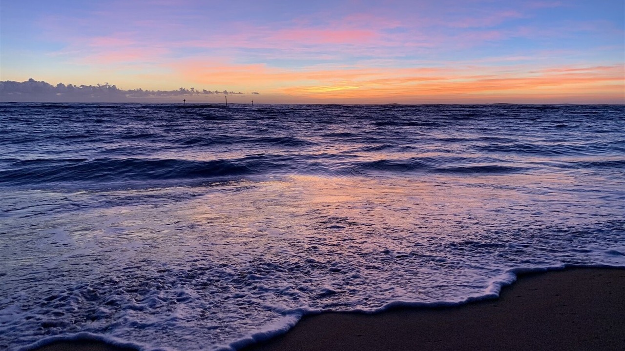 Photo of Others in Kapaa