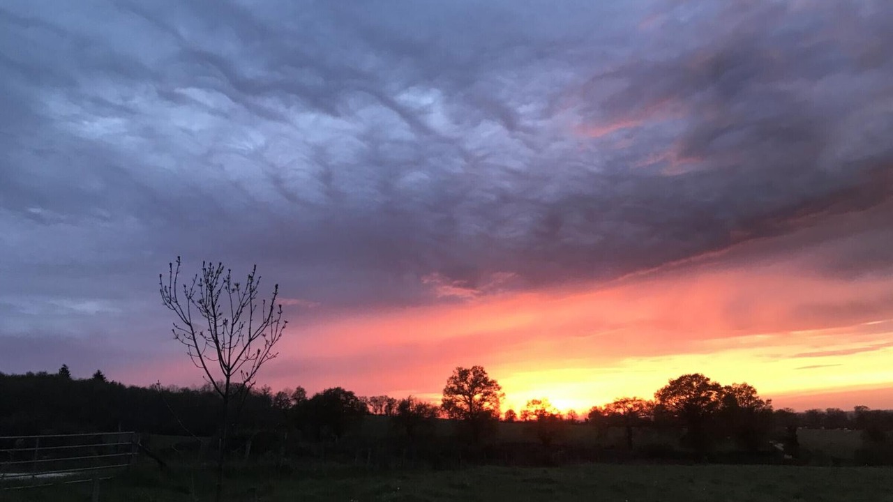 Photo of Others in Louroux-de-Beaune