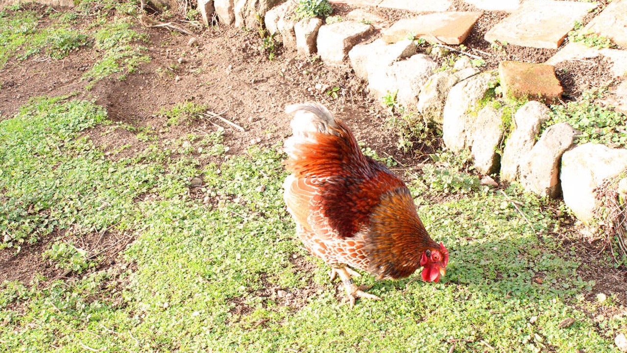 Photo of Others in Louroux-de-Beaune