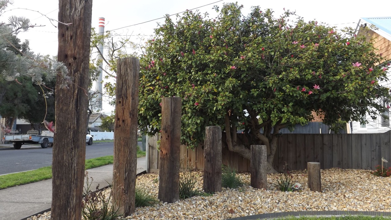 Photo of Outdoor in Newport