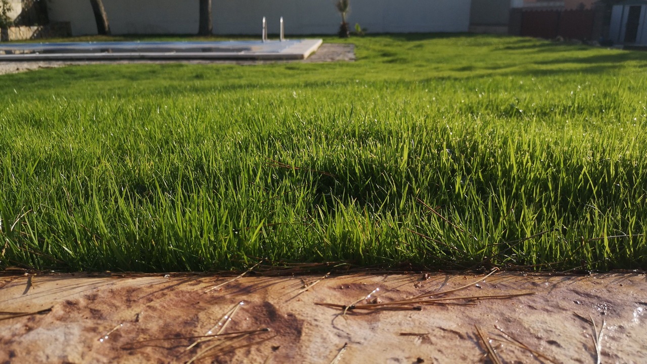 Photo of Outdoor in Hoya de los Patos