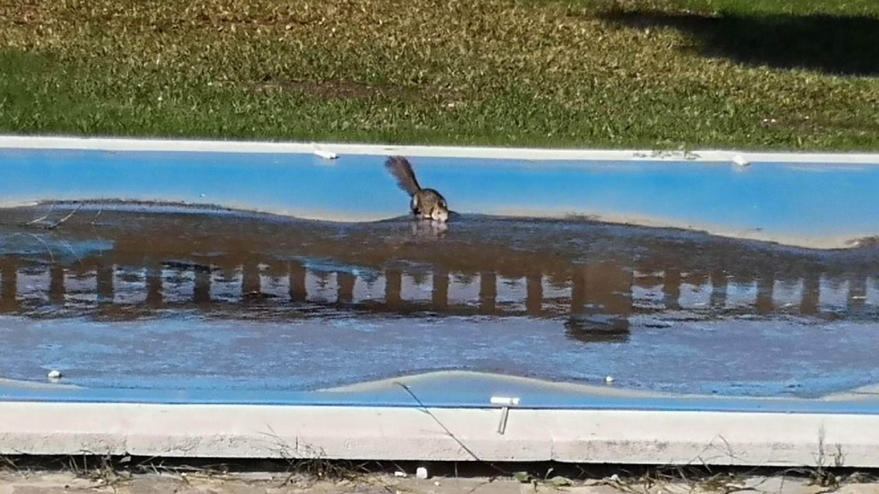 Photo of Outdoor in Hoya de los Patos