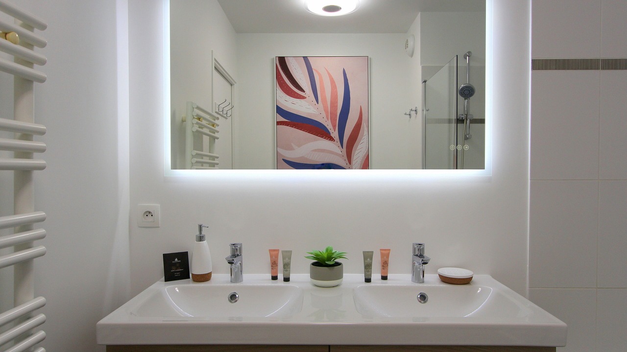 Photo of Bathroom in Serris