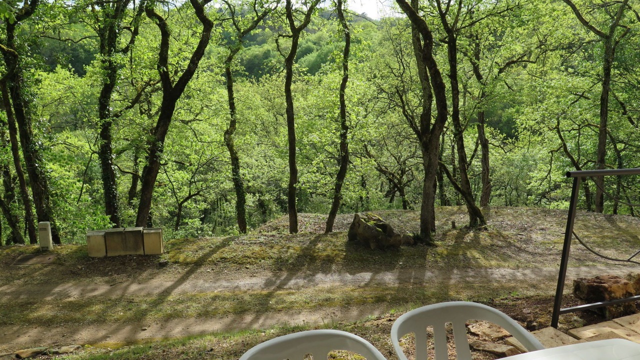 Photo of Others in Blanquefort-sur-Briolance