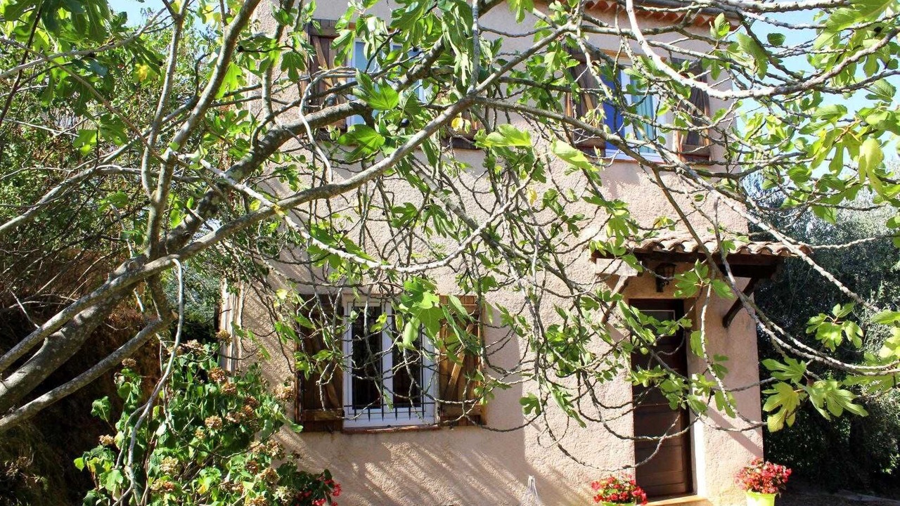 Photo of Outdoor in Tanneron