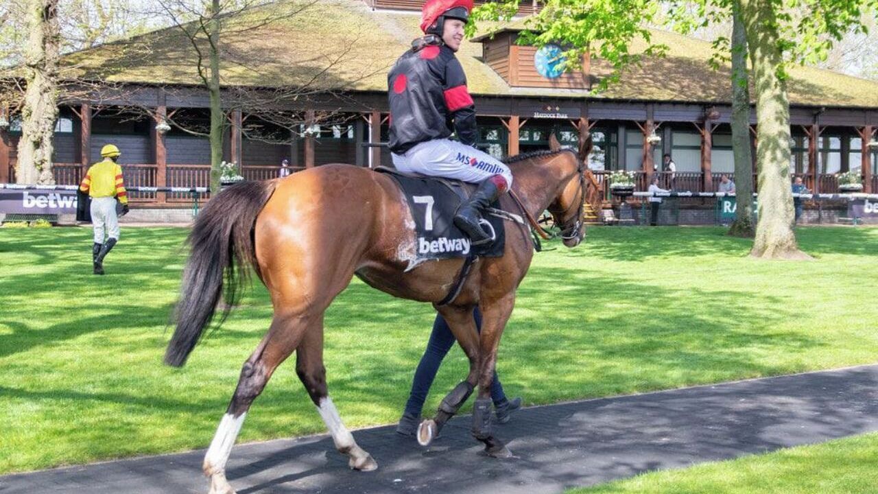 Photo of Others in St Helens