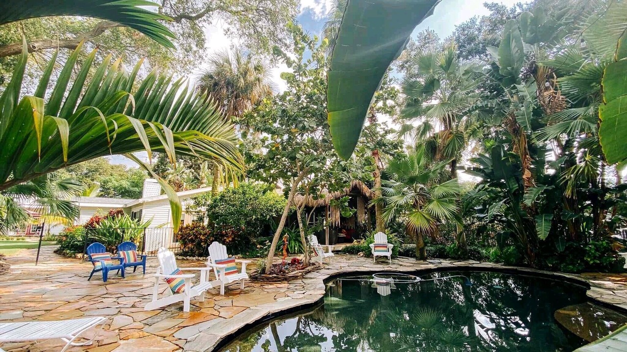 Photo of Outdoor in Dunedin