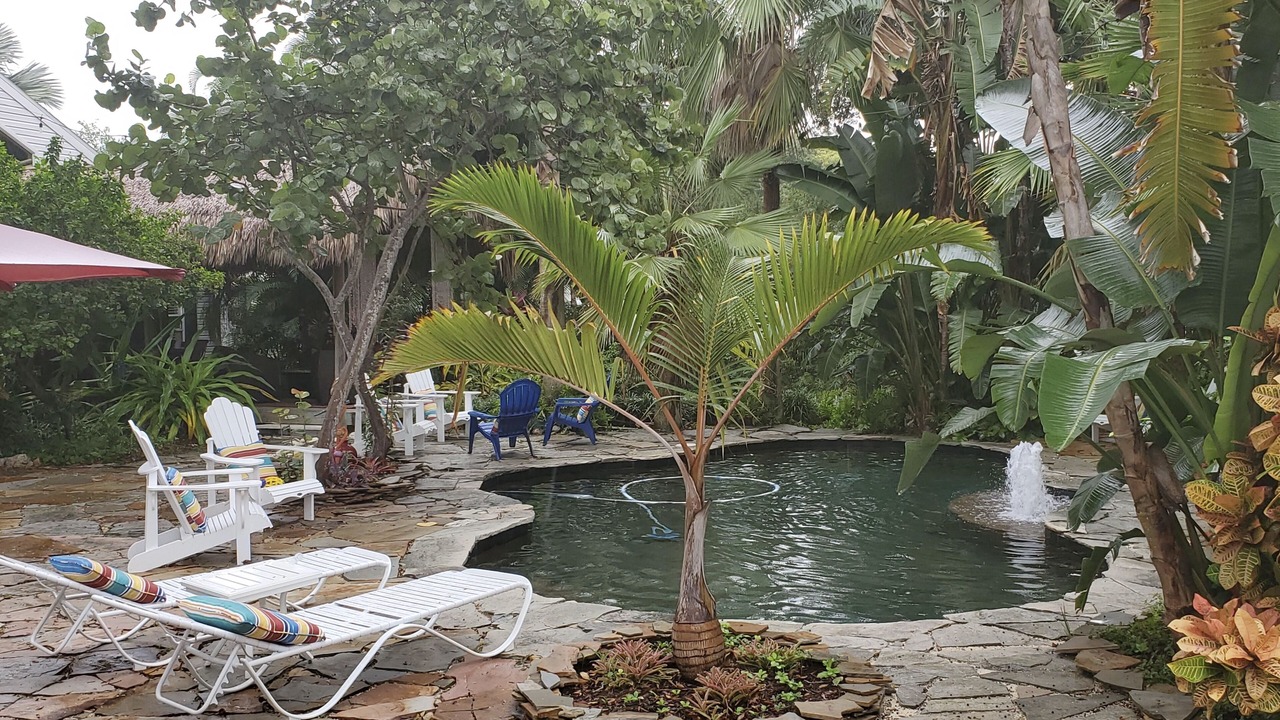 Photo of Outdoor in Dunedin