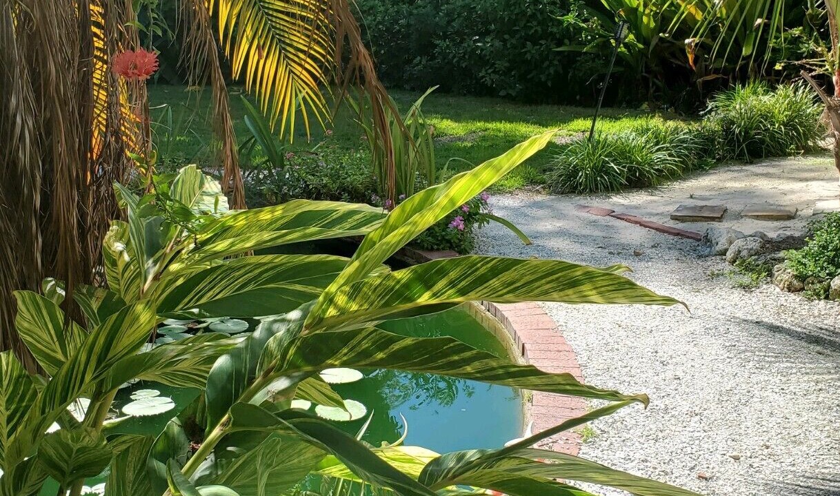 Photo of Outdoor in Dunedin