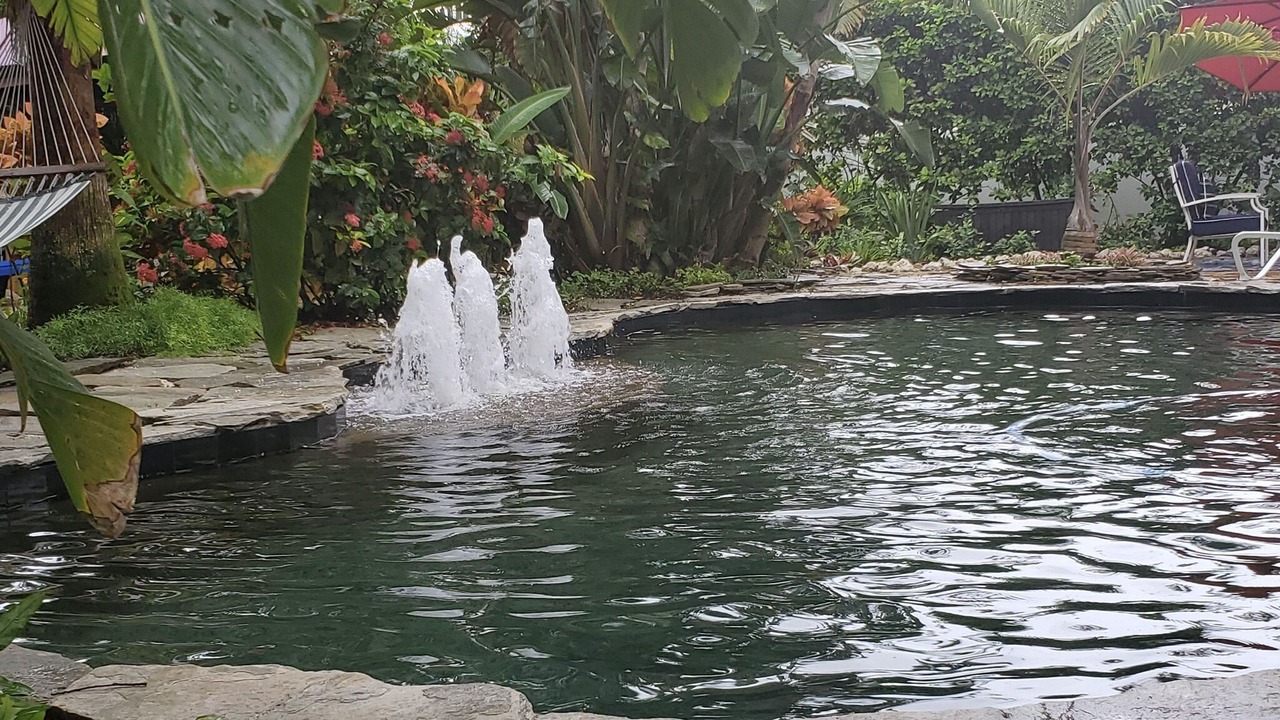 Photo of Outdoor in Dunedin