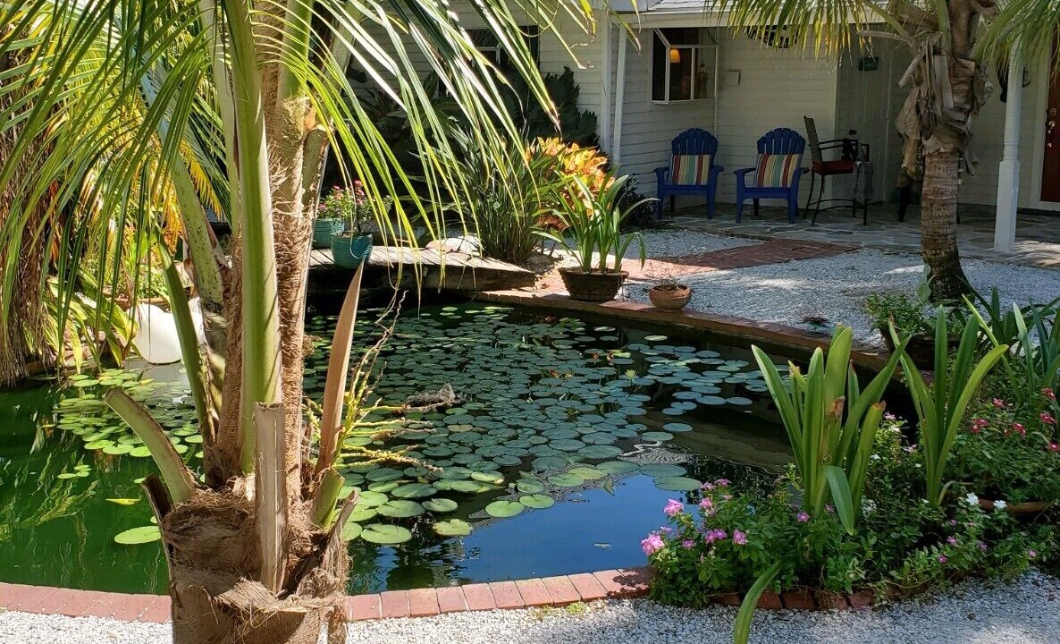 Photo of Outdoor in Dunedin