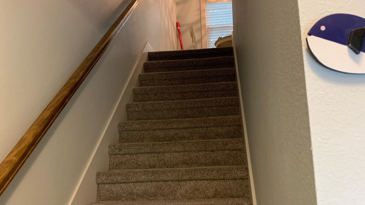 Photo of Others in Dunedin