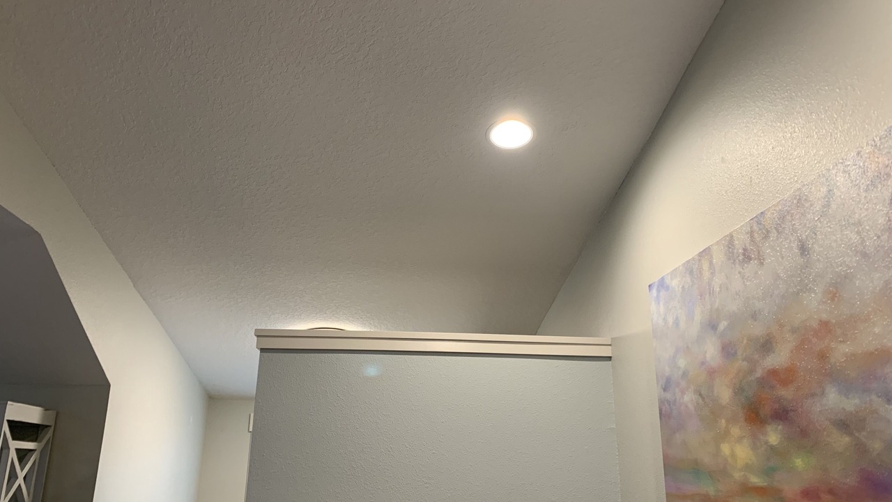 Photo of Others in Dunedin