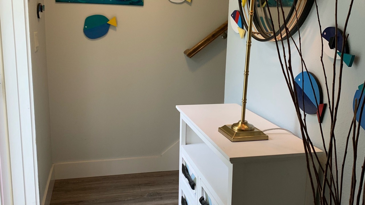 Photo of Others in Dunedin