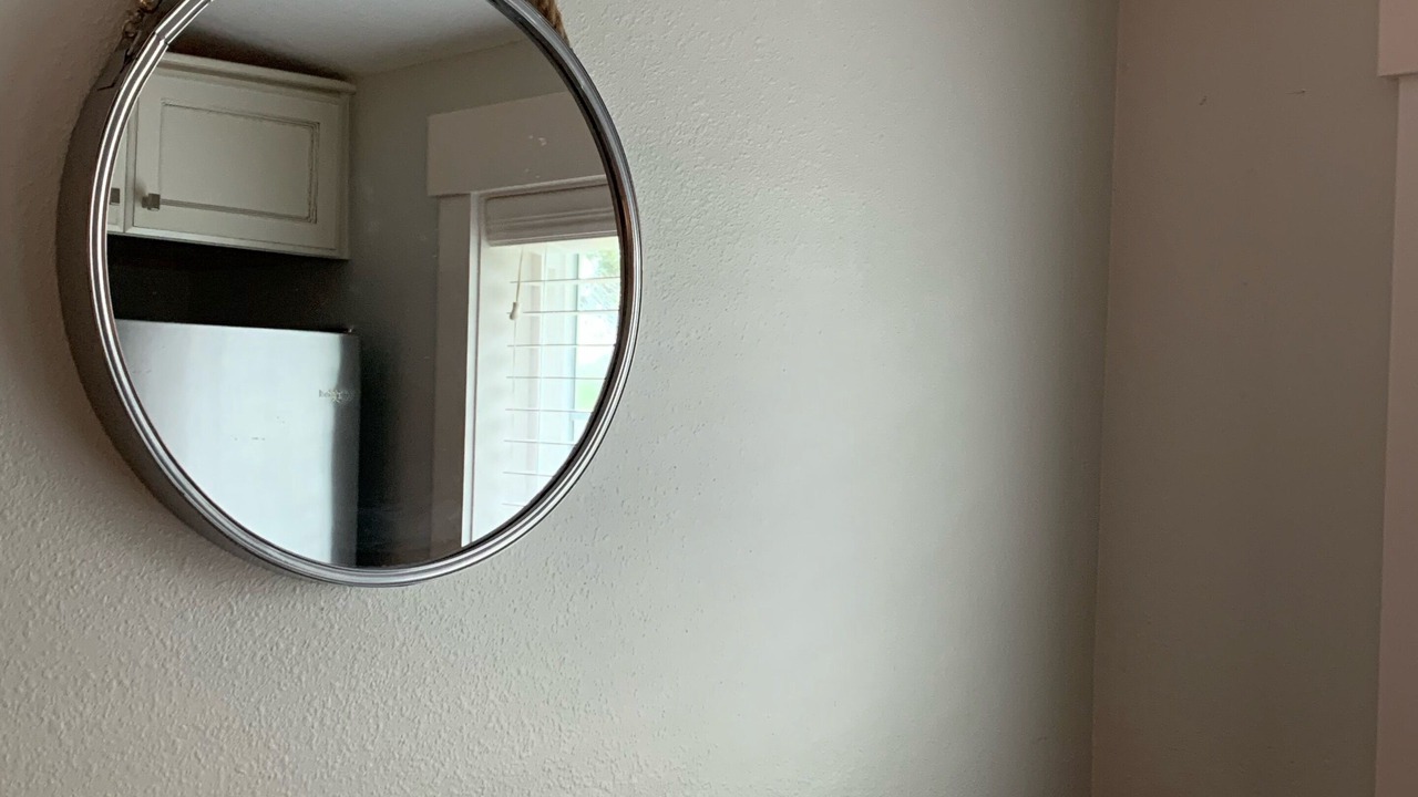 Photo of Others in Dunedin