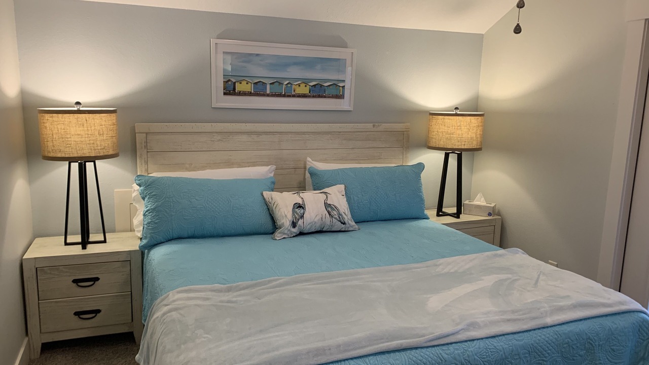 Photo of Others in Dunedin