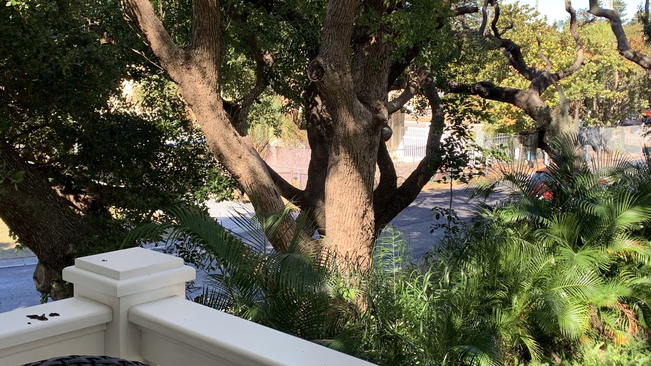 Photo of Patio Balcony in Dunedin