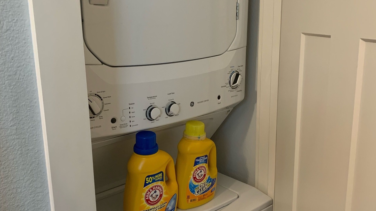 Photo of Others in Dunedin