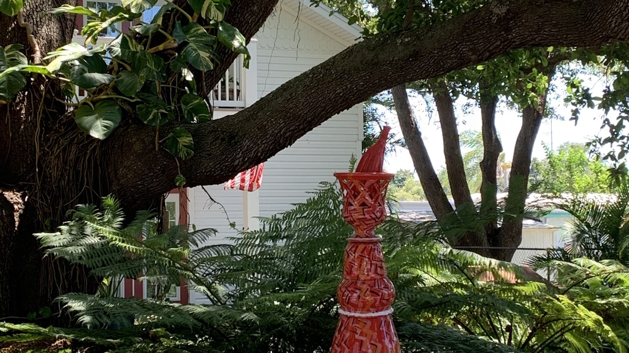 Photo of Outdoor in Dunedin