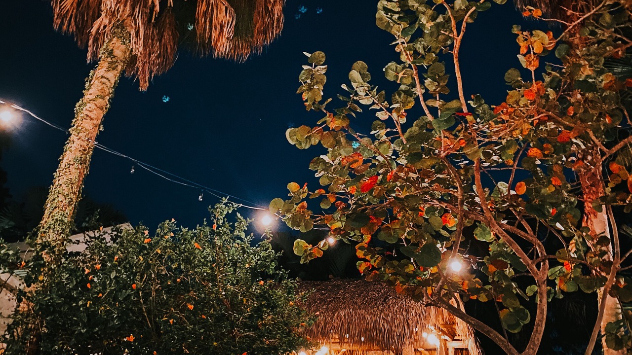 Photo of Outdoor in Dunedin